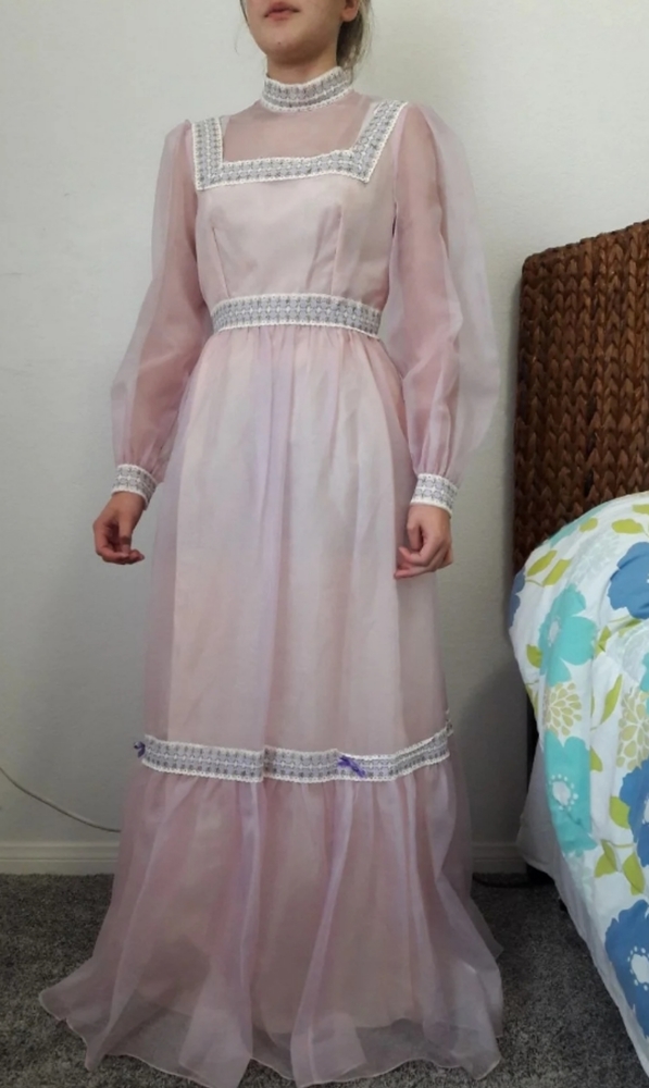 Lorrie Deb Vintage pink Chiffon Dress
